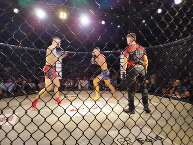 Fotorelacja z Gali Sportów Walki Taurus Fight Arena 2026 w Siedlcach