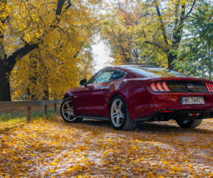 Ford Mustang GT Fastback 5.0 V8 450 KM