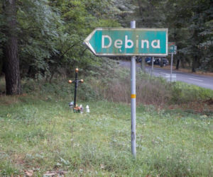 Matka broni grzybiarza