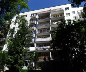 Jastrząb zaprowadzi porządek na Ursynowie. Nietypowy pomysł w Warszawie
