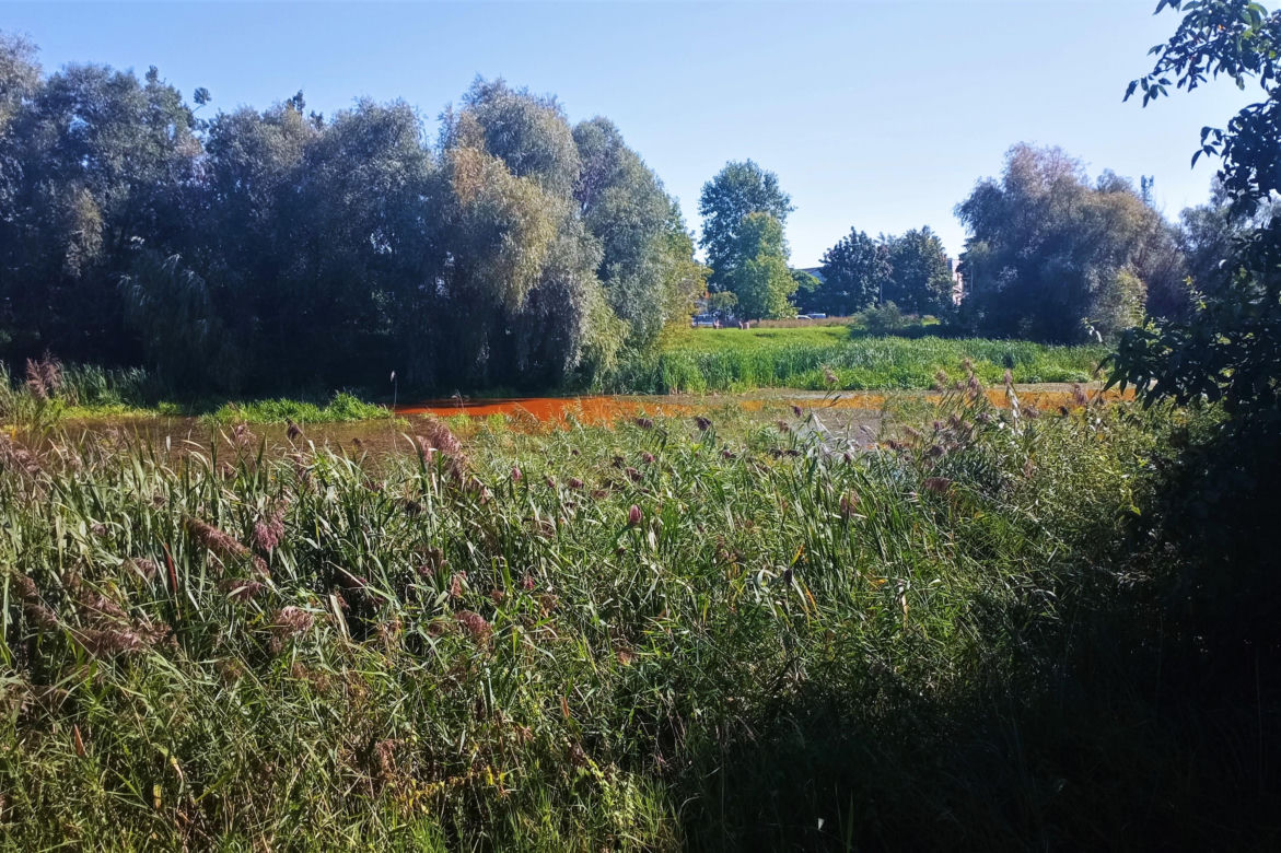 Zanieczyszczone Jezioro Słoneczne