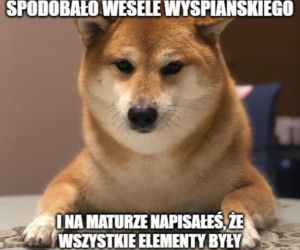 Memy matura 2020