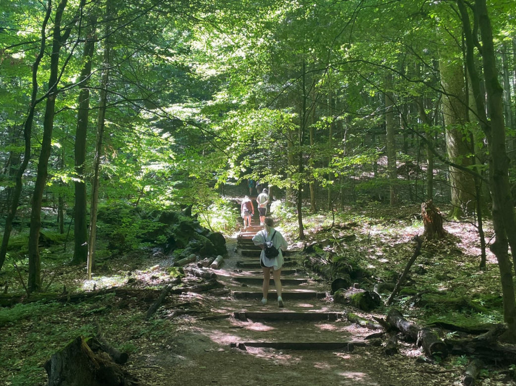 1. Roztoczański Park Narodowy
