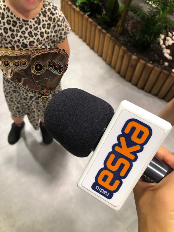 Eska Summer City 2019
