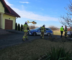 Krowa zaatakowała kobietę! Na miejscu lądował śmigłowiec LPR