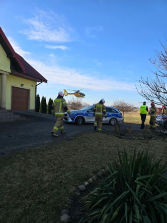 Krowa zaatakowała kobietę! Na miejscu lądował śmigłowiec LPR