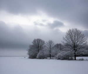 Prognoza dla Białej Podlaskiej 19.11.2025. Czy zima zaskoczy nas już dziś?!