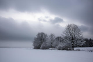 Prognoza dla Białej Podlaskiej 19.11.2025. Czy zima zaskoczy nas już dziś?!