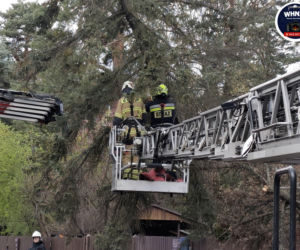 Powalone drzewa i awarie prądu w części województwa
