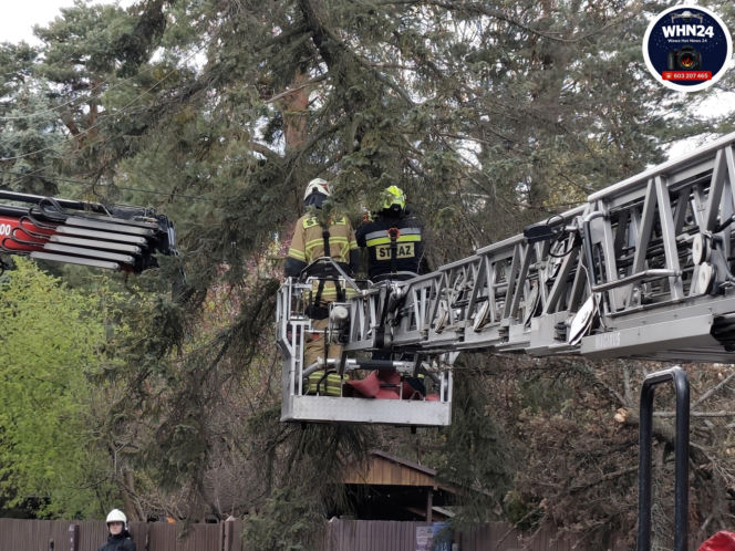 Powalone drzewa i awarie prądu w części województwa