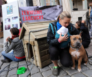 Katarzyna Bujakiewicz przykuła dziecko do budy