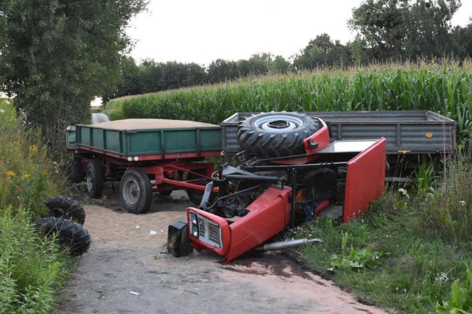 Czerwony ciągnik przewrócony na bok obok przyczep ze zbożem na polnej drodze. O wypadku przeczytasz na SE Lublin.