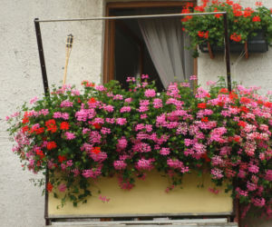 Najpiękniejsze balkony w Starachowicach