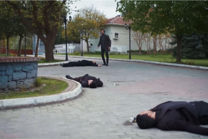 Dziedzictwo odc. 851-852