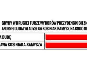 Sondaż czerwiec 2020