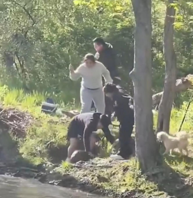Bóbr zaatakował dziecko! Szokujące wideo w sieci