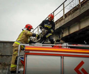 Niecodzienna akcja ratunkowa! Straż pożarna ściągała z wiaduktu… KOTA! 