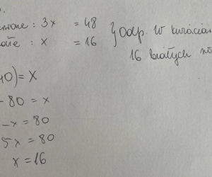 Próbny EGZAMIN ÓSMOKLASISTY 2021: Matematyka. Odpowiedzi i arkusze sprawdzisz TUTAJ