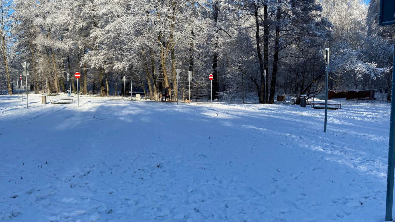 Dolina Gęśnika w Zielonej Górze w styczniu 2023 r.