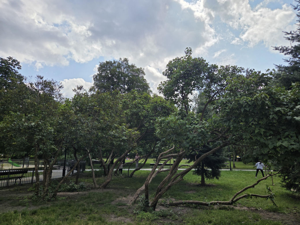 Spacer przez muzyczne serce Bydgoszczy. Park Kochanowskiego zachwyca historią i klimatem