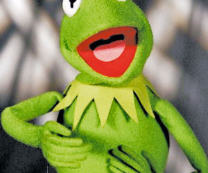 	Szok! Kermit żyje
