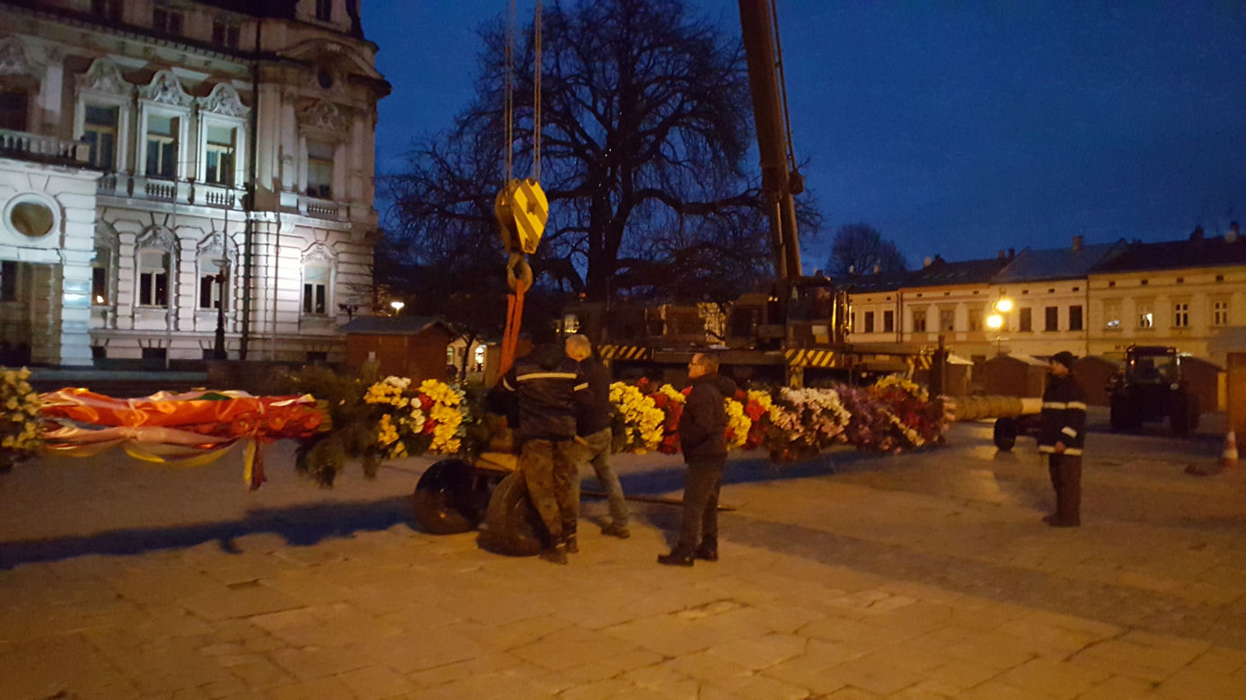  Gigantyczna palma wielkanocna  w Nowym Sączu
