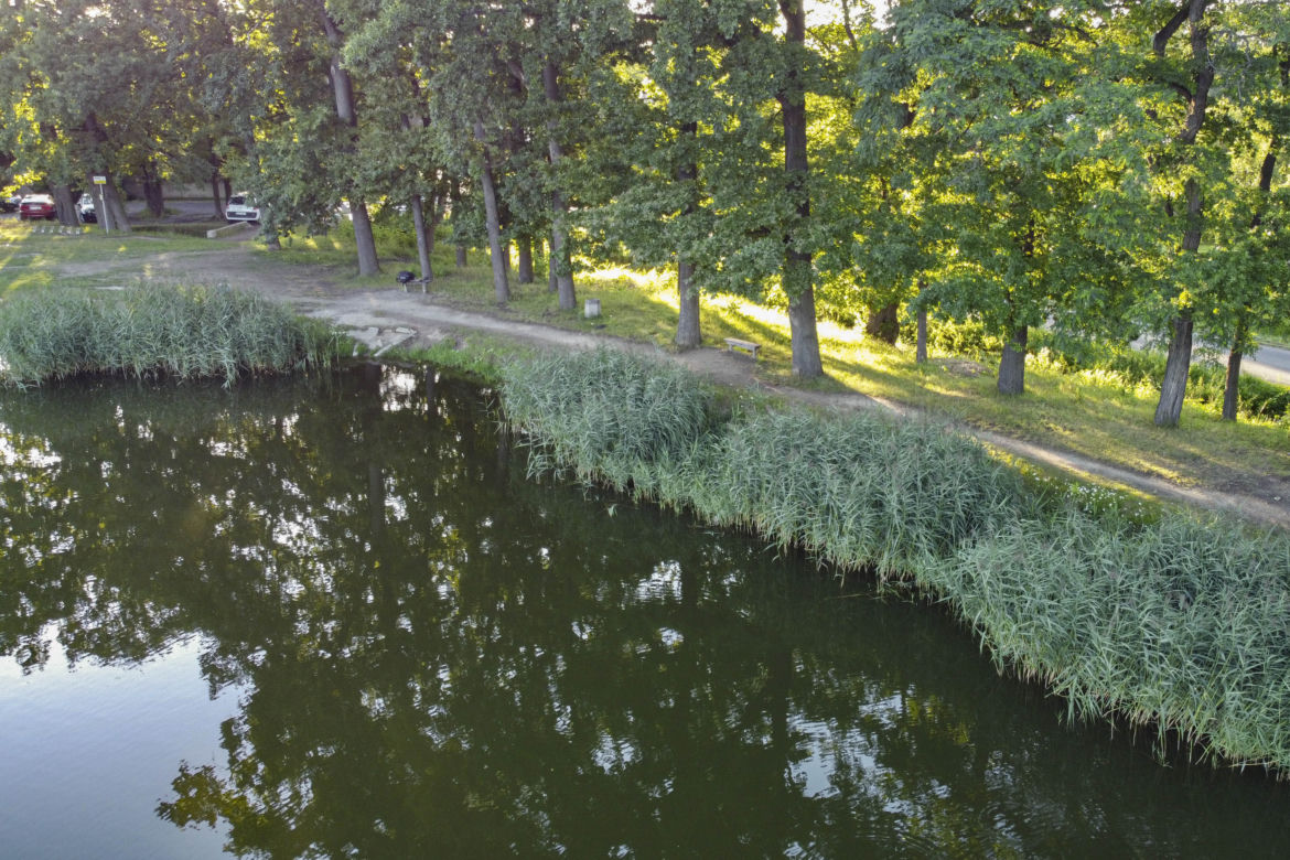 Zatłukł Patryka, bo zarysował mu auto