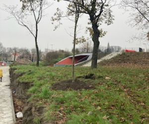 W Toruniu pojawiły się nowe drzewa i krzewy. Nasadzenia w rejonie placu Rapackiego