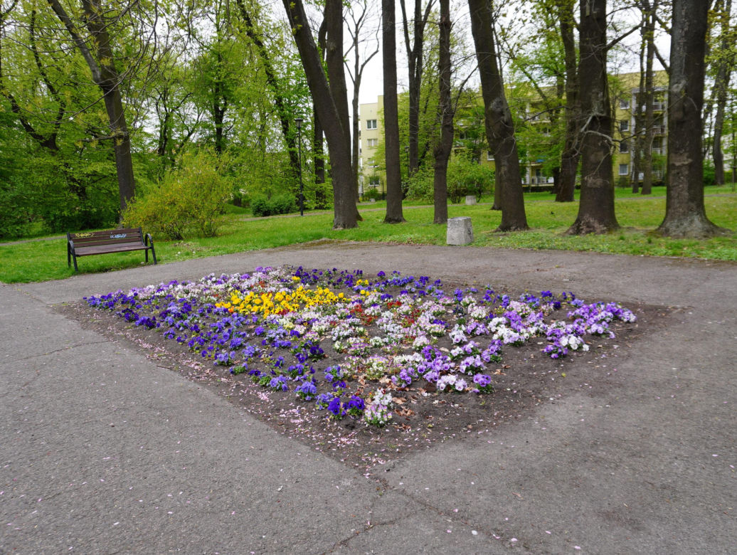 Park Bronowice wiosną 2024