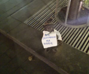 Krasnale mówią NIE! Andrzejowi Dudzie. Niezwykły happening
