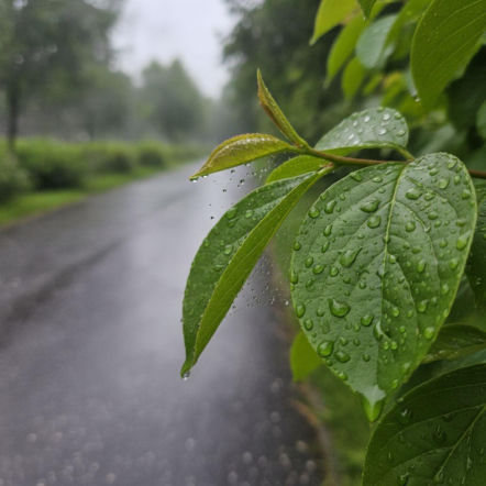 Weekendowa pogoda w Krakowie ma jeden haczyk. Najcieplejszy dzień może pokrzyżować plany