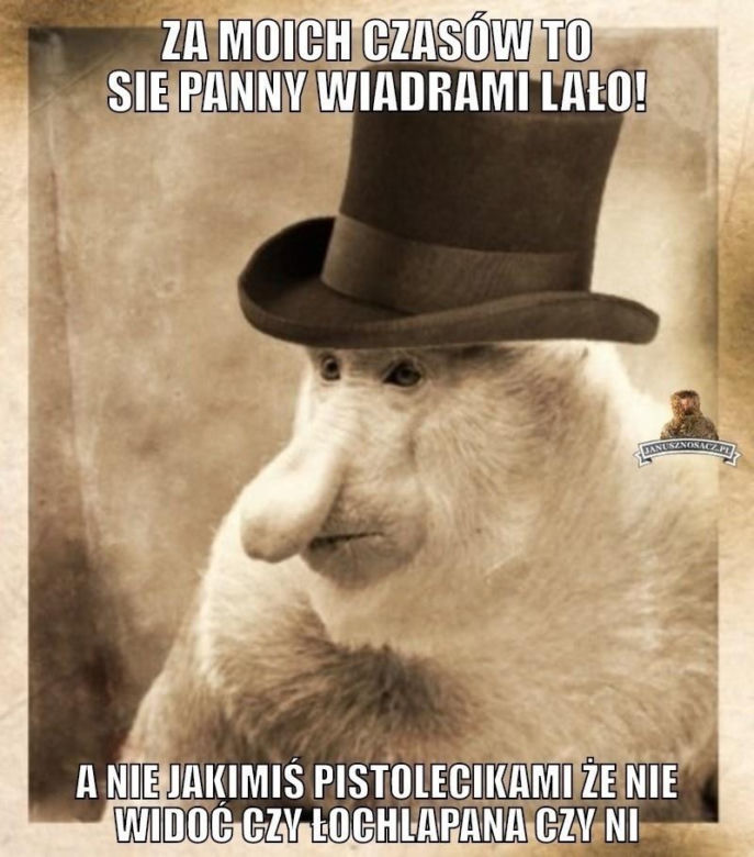 memy lany poniedziałek