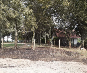 Pożar na polu w Zamartem. Dzielnicowi ewakuowali uczestników festynu