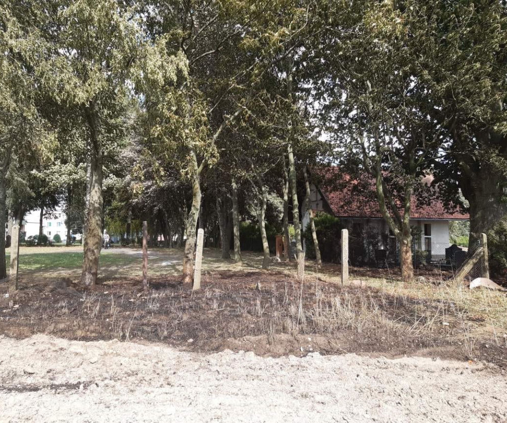 Pożar na polu w Zamartem. Dzielnicowi ewakuowali uczestników festynu