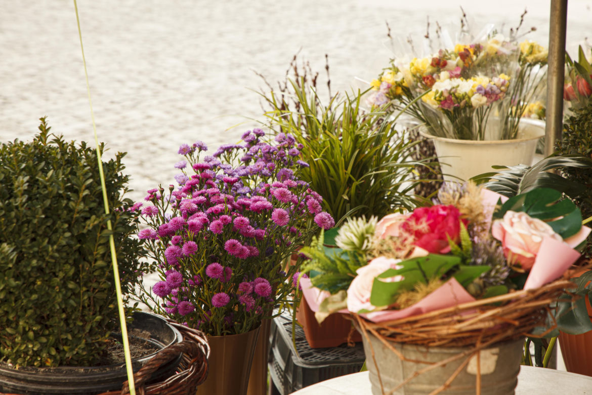 Nowe znaki  "flowers & ride" na pl. Solnym we Wrocławiu