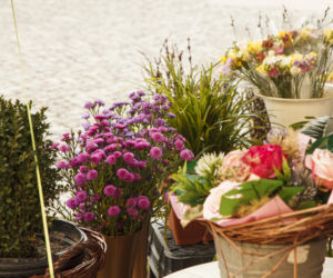 Nowe znaki  flowers & ride na pl. Solnym we Wrocławiu