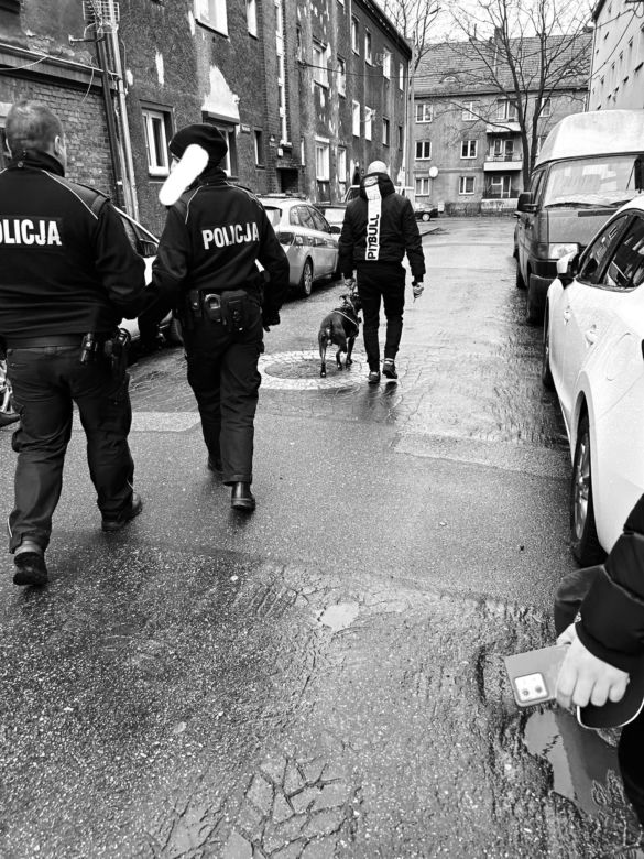 Agresywny pitbull zagryzł yorka i pogryzł jego właścicielkę. Rzucił się też na dziecko