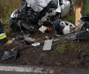 BMW roztrzaskało się na drzewie