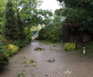 Nawałnica zniszczyła Zoo Płock! Placówka zamknięta! Co ze zwierzętami? [ZDJĘCIA]