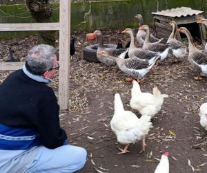 Półroczna Lusia udusiła się w paczce