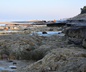 Bałtyk odsłonił las sprzed tysięcy lat