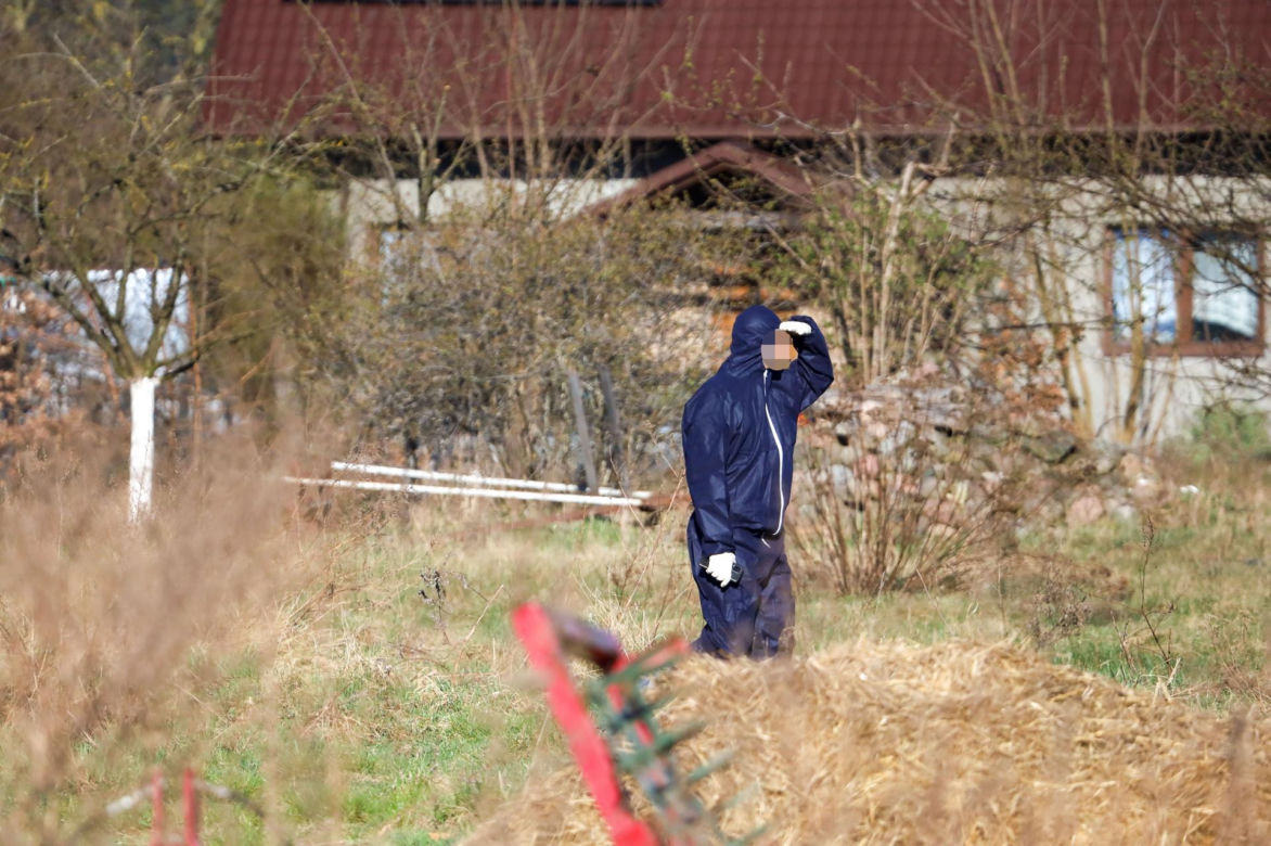 Horror koło Ostródy. Zwierzęta konały bez światła, wody i jedzenia
