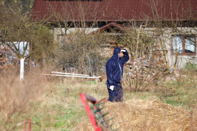 Horror koło Ostródy. Zwierzęta konały bez światła, wody i jedzenia