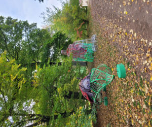 Poznański park iluminacji Magiczny Las