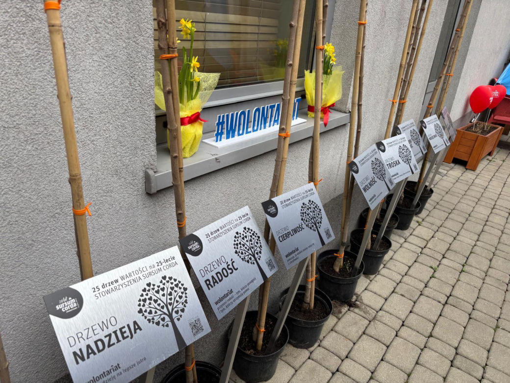 Sursum Corda sadzi drzewa na 25 urodziny 