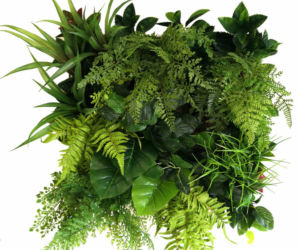 Green Decor