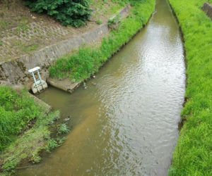 Sytuacja hydrologiczna w Tarnowie. Czy grozi nam powódź?
