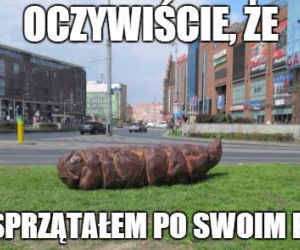 Zdania, których wrocławianie nigdy nie mówią