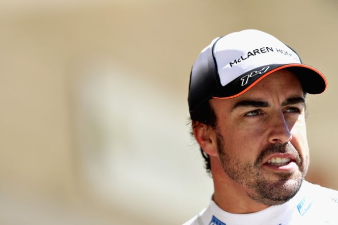 Fernando Alonso