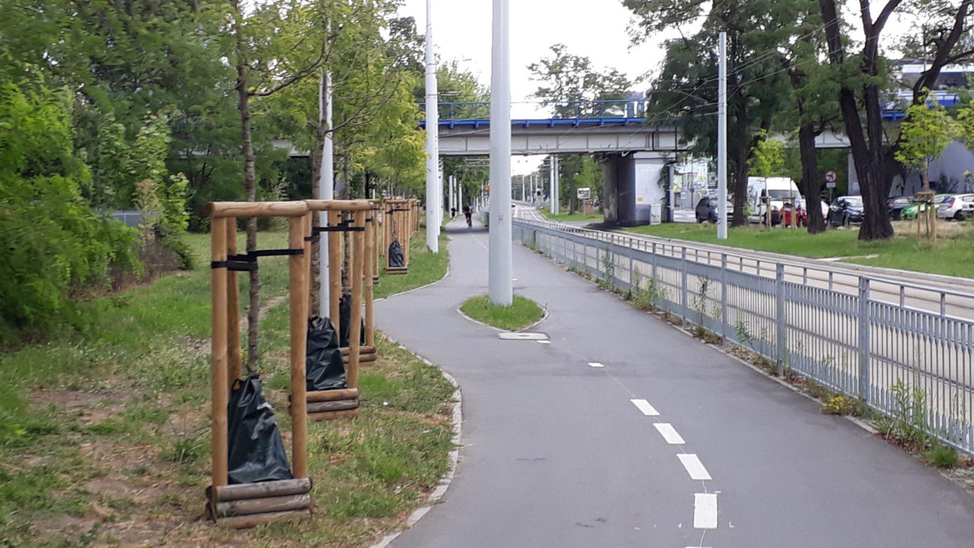 Rowerowe teleporty we Wrocławiu. Tutaj niespodziewanie kończą się drogi